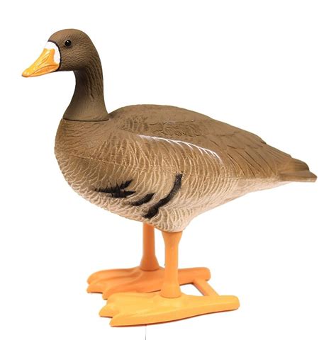 bigfoot specklebelly goose decoys.